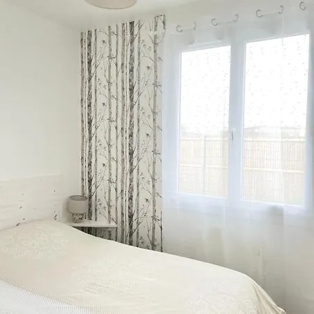 Logement Cosy 2 Pieces Daire